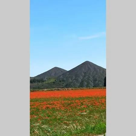 Apartment Les Chevalets Iii Classe 3 Etoiles Lens